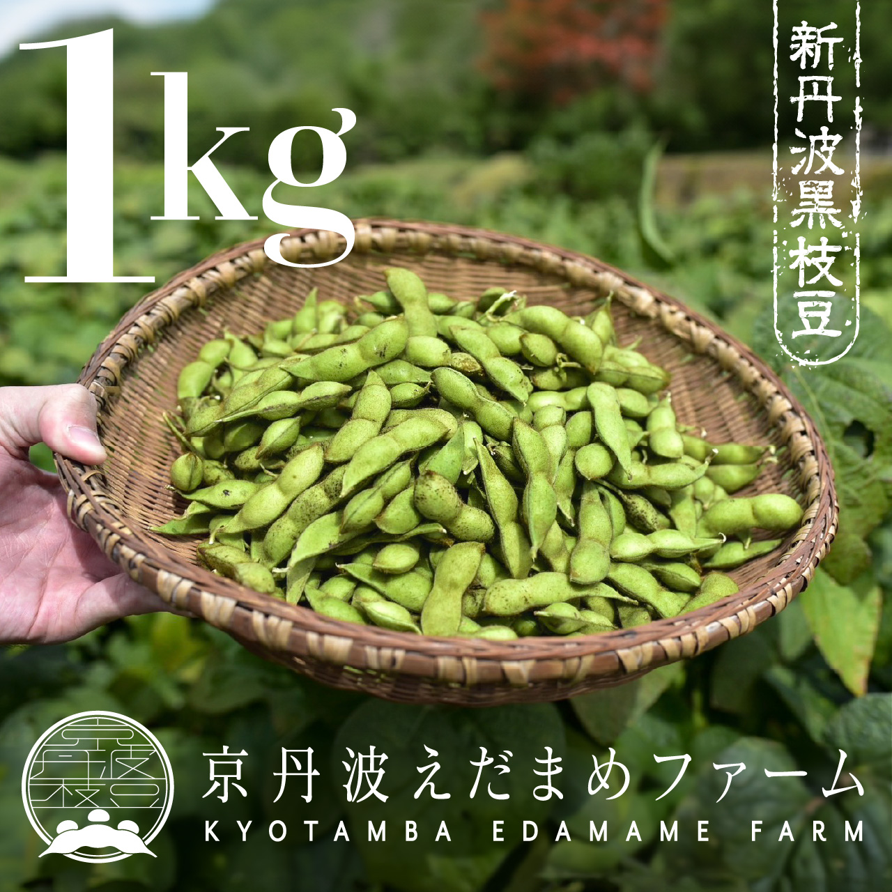image1 (1).jpeg