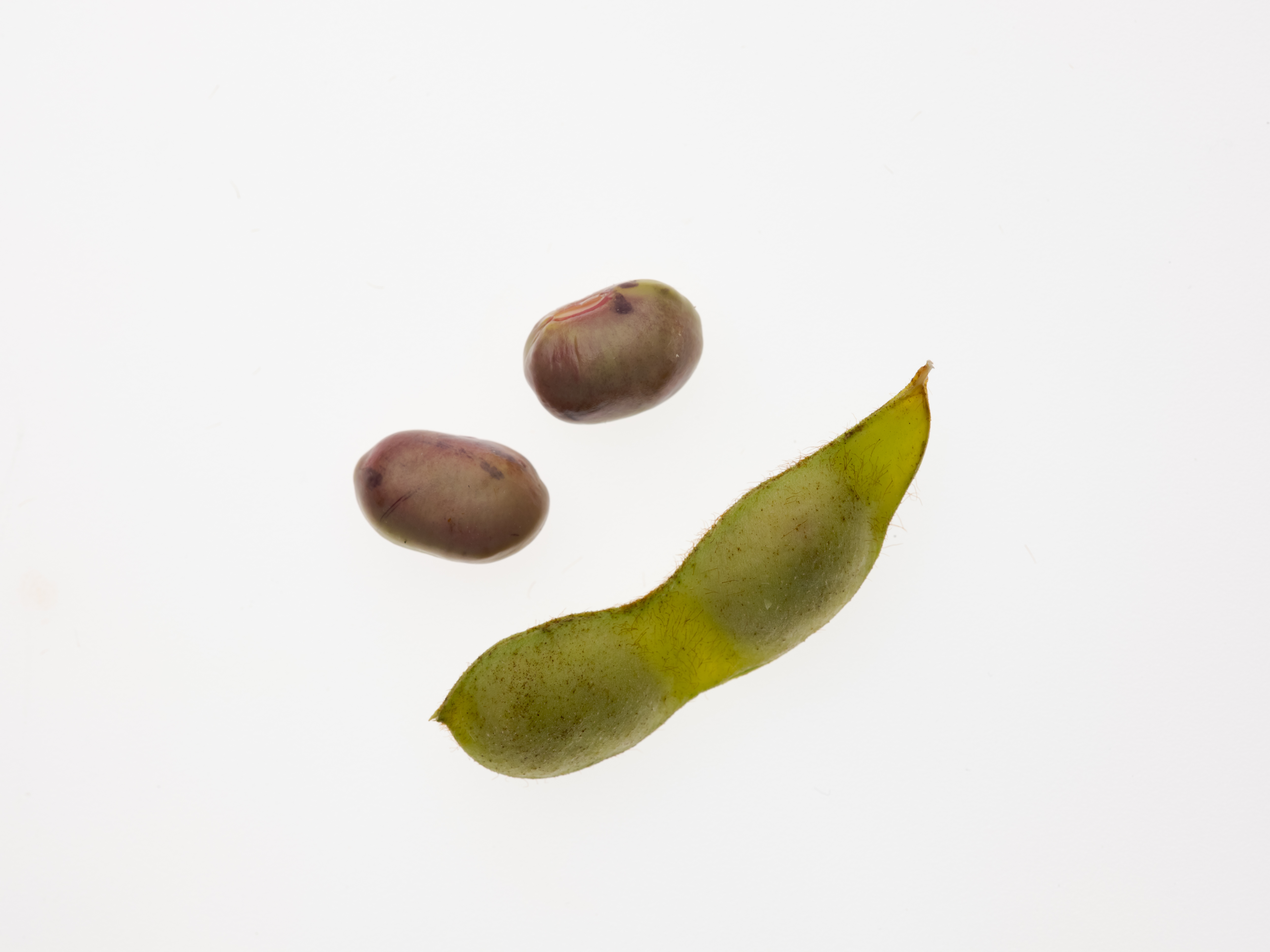 中旬
