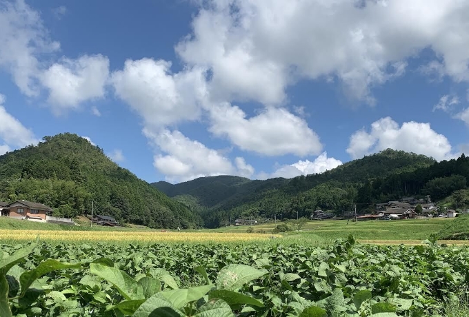 田畑へのこだわり